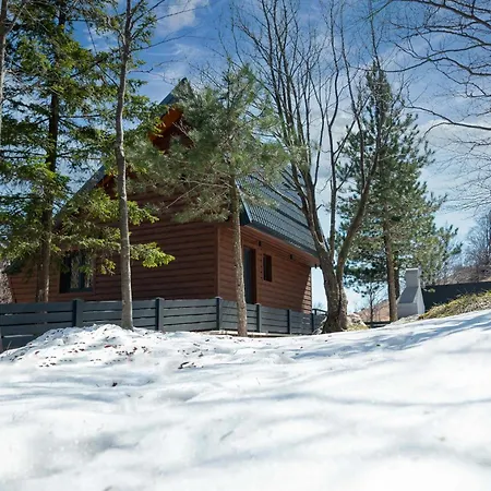 Dodo Holiday home *
